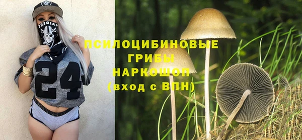 мдпв Нязепетровск