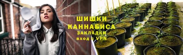 таблы Аша